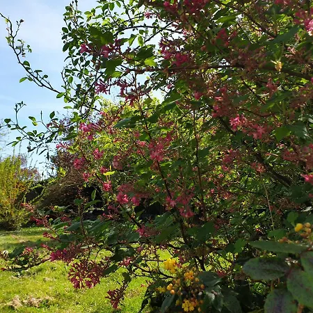 La Maison De Nacre Couette-café Douvres-la-Délivrande