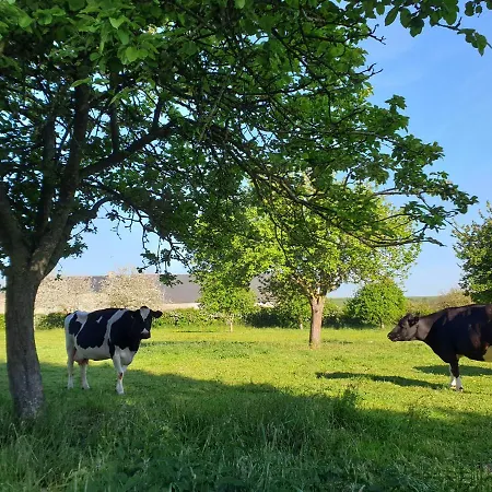 La Maison De Nacre * Douvres-la-Délivrande