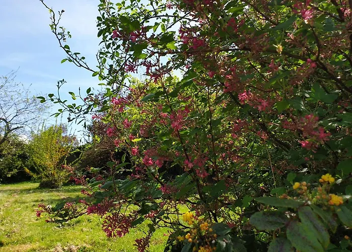 La Maison De Nacre Bed & Breakfast Douvres-la-Delivrande