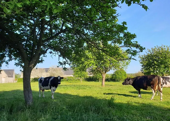 La Maison De Nacre * Douvres-la-Delivrande